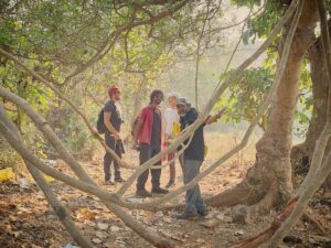 Snigdha Akolkar Instagram - Today's hike led to my realisation why it is key to save #aareyforest. #lungsofmumbai