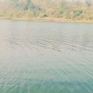 Snigdha Akolkar Instagram - Today's hike led to my realisation why it is key to save #aareyforest. #lungsofmumbai