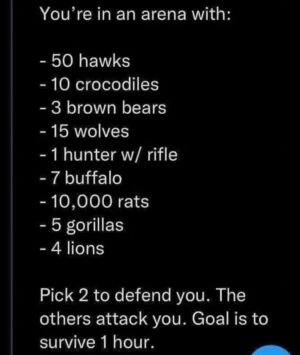 Sodiq Yusuff Instagram - Anyone who doesn't put 10k Rats is crazy. The hard choice is between the hawks or hunter. The rifle will be hard to deal with and the hawks may pick me out from my rat army 🤔