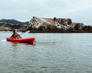 Sofia Rosinsky Instagram - Thank you guys for the lovely birthday messages and the amazing edits on Saturday! Kicked off 17 with some kayaking! Thank you to my family for making the day so special, and to @alexisrosinsky for making sure our buddy NoHo Hank got a VIP spot on the birthday cake.
Also, happy birthday to Benita, who shares my same birthday, and who’s age we are not sure of… but she is still our hairy starlet! More adventures to come! 
#17 #NoHoHank #Barry #BarryHBO