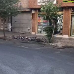 Soheil Beiraghi Instagram - #صبح
#صبح_زود
#او_روزی_دهنده_است 

#۴_مهر_۹۹