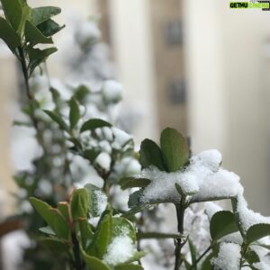 Soheil Beiraghi Instagram - بهار دیگری آمده‌ست آری
اما از زمستانی که گذشت
یادی نیست
نامی نیست
