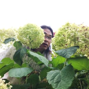 Sōichi Nakaoka Instagram - 紫陽花かきわけ中岡

紫陽花と写真撮った

英孝ちゃんに撮ってもらった！！

#これ以上紫陽花に近づいたら叫ぶ
#草花が枯れる原因は中岡かもしれない
#でもお花きれいな
#いいねもらっとけ