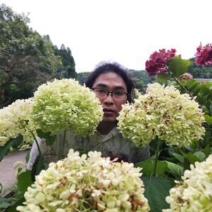 Sōichi Nakaoka Instagram - 紫陽花かきわけ中岡

紫陽花と写真撮った

英孝ちゃんに撮ってもらった！！

#これ以上紫陽花に近づいたら叫ぶ
#草花が枯れる原因は中岡かもしれない
#でもお花きれいな
#いいねもらっとけ