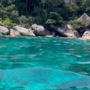 Sola Instagram - Cet endroit paradisiaque 🐠🏝️🛥️🌊👙

J’ai vu Nemo!!Admirez bien la vidéo sous l’eau parce que après ça l’écran de mon téléphone a rendu l’âme 📴