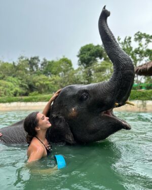 Sola Instagram - Aujourd’hui j’ai vécu une expérience incroyable !! 
J’ai pu laver , donner à manger et me baigner avec 5 éléphants qui ont été  sauvés des cirques ou de la forêt dans laquelle ils étaient enchaînés pour arracher des arbres. 
Tellement heureuse d’avoir pu vivre ce moment !! 
Swipe si tu veux voir un éléphant me faire un bisous 🐘😚