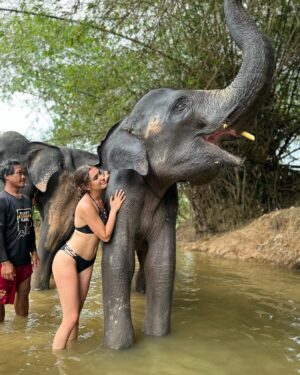 Sola Instagram - Aujourd’hui j’ai vécu une expérience incroyable !! 
J’ai pu laver , donner à manger et me baigner avec 5 éléphants qui ont été  sauvés des cirques ou de la forêt dans laquelle ils étaient enchaînés pour arracher des arbres. 
Tellement heureuse d’avoir pu vivre ce moment !! 
Swipe si tu veux voir un éléphant me faire un bisous 🐘😚