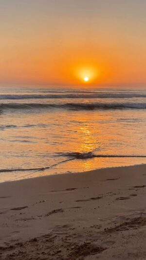 Solange Hilário Instagram - No words needed to describe.
Just gratitude 🌟
It’s #virgoseason 

#reels #reelsinstagram #sunset #sunsets #sunsetlovers #sunsetbeach #sun #sol