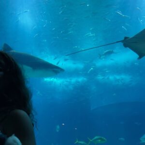 Solange Hilário Instagram - Under the Sea (and Marilyn Monroe) Photo Dump 🐚

#herbirthday #7