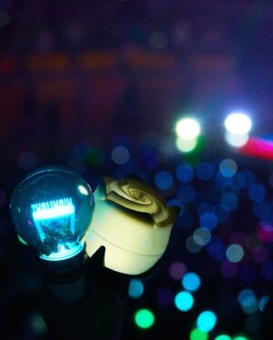 Son Dong-woon Instagram - ‘Lights Go On Again’ 3일간 너무 감사하고 행복했습니다💡🌹