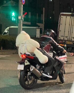 Song Geon-hee Instagram - 🧸.zip