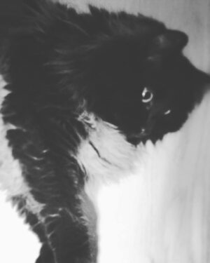 Song Jae-rim Instagram - .
-2016.08.21
MMXVI VIII XXI
I miss you Hola
보고싶다 올라.
会いたい