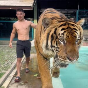 Song Yadong Instagram - 🐯🐯🙈🙈🇹🇭🇹🇭