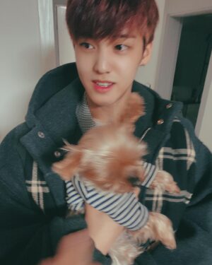 Song Yu-vin Instagram - 잘 있어 몽(17)
잘 있어라 쵸파(5)
잘 있어요 나의 가족❤️ 건강하세요 모두..특히 몽이 할머니..🐶
#새해복많이받으세요🙇