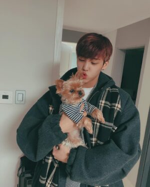 Song Yu-vin Instagram - 잘 있어 몽(17)
잘 있어라 쵸파(5)
잘 있어요 나의 가족❤️ 건강하세요 모두..특히 몽이 할머니..🐶
#새해복많이받으세요🙇
