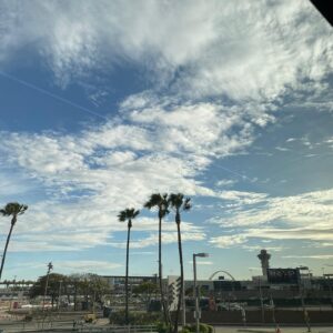 Song Yu-vin Instagram - 비몽사몽😴

#LA