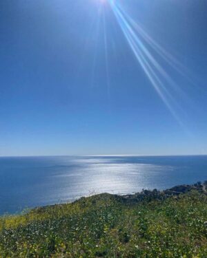 Sonya Walger Instagram - More from my walk. Finding 5 things I’m grateful for is easy on these beautiful days. Sending love to you all.
