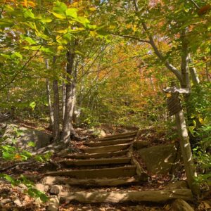 Sophia Mitri Schloss Instagram - school spirit fall foliage perfect pals