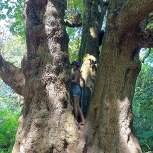 Sophia Mitri Schloss Instagram - Here’s to exceptional adventures and top-notch naps 🍃
