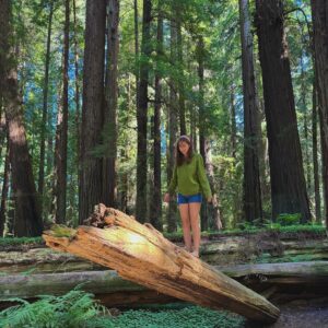 Sophia Mitri Schloss Instagram - asks her family to road trip with her for a month and they say yes: