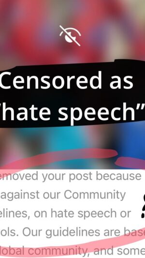 Sophia Wallace Instagram - The joyful reel I made marching with inflatable sculptures at the #nycdykemarch last week was censored. I remade the reel from scratch after the original was deleted completely (reel, data, comments). The only trace of the censorship is in the wonky grid with 2 posts of the march, not 3). According to @instagram @meta @facebook the content “violated community guidelines” that prohibit “hate speech and symbols”. What? Is it the art 🚫 or the dykes 🚫 or rather our 🏳️‍⚧️🏳️‍🌈 public assembly en mass for pride that Meta cannot abide? Please support my appeal to educate these algorithms and content reviewers, so that they can distinguish between lgbtq  pride vs. hate speech, intersectional, feminist art vs. symbols to incite violence. The experience of being censored has happened to me and so many of my art peers REPEATEDLY across digital platforms for YEARS. We have had no recourse. Only now, is there an oversight board that I can actually appeal to. It will be interesting to see how long this video is allowed to exist. I will keep you all posted. #censored #censorship #bigtechcensorship #algorithm #breakthebias #algorithmskillart #algorithmsofoppression #algoritmoinstagram #algorithmsoflatecapitalism