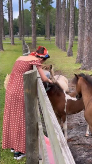 Sophie Auster Instagram - Meet miniature horses ✅ #minihorse #downsouth