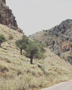 Sophie Cadieux Instagram - Mer de Libye. 🇬🇷