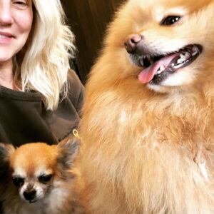 Sophie Favier Instagram - Mes joies🦊💛🦊