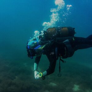 Sophie Lowe Instagram - I love my job! 💗 
To prepare for our roles we get to scuba dive nearly every day!  In beautiful Malta! Feeling very lucky to be a part of this project 🙏🏻 and to work and hang with spectacular @lounkrause !! SO MUCH LOVE !! 💞👭🏼☀️🤿🐠🐙👌🏻