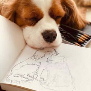 Stef Dawson Instagram - Little sketch of my favorite furry subjects Millie & Geoffrey 🤍 they just had to be involved