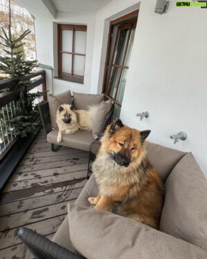 Steffen Baumgart Instagram - Frohe Weihnachten 🎄