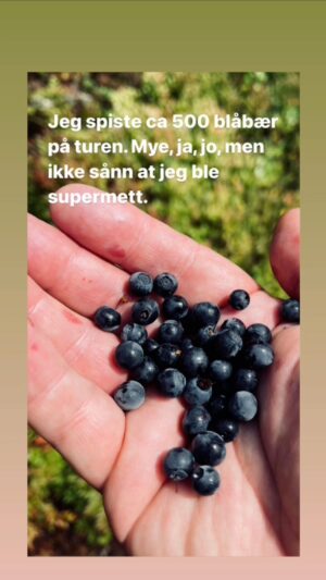 Steinar Sagen Instagram - 
