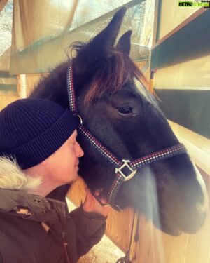 Štěpán Benoni Instagram - Je to fešák. #stan #quarterhorse