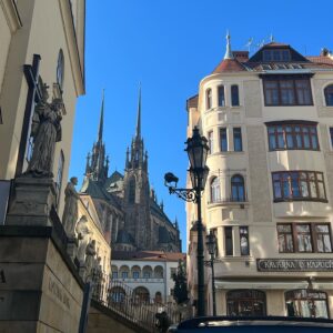 Štěpánka Fingerhutová Instagram - Rozumíte pořadí a obsahu těhle příspěvků?