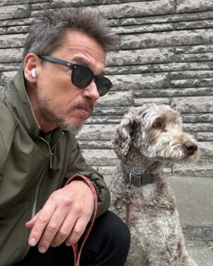 Stéphane Rousseau Instagram - Oui Banksy, 
je crois aussi avoir vu un 🐿️