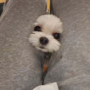 Stephanie Kim Instagram - 2023 throwback photodumps selfies vol.3