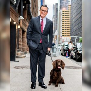Stephen Colbert Instagram - We missed you so much that we got to the office early! This week’s incredible line-up of guests includes @serenawilliams, @michaelkirkdouglas, @marthastewart, @andrewtmccarthy and more. See you tomorrow! 

Photo credit: @TheDogist 📸

#Colbert