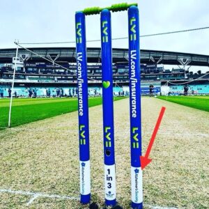 Stephen Fry Instagram - Today's LV= Men's Ashes Test Match highlights the fact that 1 in 3 people born today in the UK will get dementia. That’s 1 in 3 who may forget their fav Ashes memory. Great #CricketShouldBeUnforgettable, donate and help end the devastation caused by dementia - @alzheimerssoc —alzheimers.org.uk/