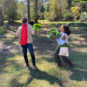 Stephen Satterfield Instagram - In the least surprising development of High on the Hog, you all fell in love with my dear friend @gabrielle_eitienne and her Uncle Andrew. (Today is Uncle Andrews birthday too y’all!)

Gabrielle is an incredible collector and chronicler of her family’s past and present in North Carolina. Her family becomes a proxy for ours, and her work frames food and story as central vessels to ancestral memory and future liberation. And clearly, she is a major culinary talent. 

In 2019, I interviewed Gabrielle for @whetstonemagazine podcast called Point of Origin. Gabrielle appeared in the second of a two-part series, entitled Farming While Black after the name of @leahpenniman essential text from the same year. In the interview, Gabrielle talks about her journey and her muses, like Cornelia Bailey, Vertamae Grosvenor and of course, Dr. J. 

I also chat with Dr. Monica White, author of the brilliant #FreedomFarmers. We know well that land has a story to tell and we tell ourselves stories about our relationship to the land. Often those stories have perpetuated a racialized ruling class for whom ownership was inevitable and generations of dispossessed Black and brown families. 

Dr. White does an amazing job of connecting food to power, politics, sovereignty and justice, and reframes resistance from protesting and picketing to growing and planting. 

Perhaps you’ll consider following/subscribing to @whetstonemagazine for more stories like this from over 80 countries. And most definitely support Gabrielle’s incredible community ag project @tallgrassfoodbox. 

Enjoy BTS photos of our shoot from Apex, NC and most crucially a closeup of the already famous beet cornbread, collard greens. 

Lastly, not enough can be said for the breathtaking cinematic quality of the series for which we are all indebted to Jerry Henry (@cactus.eyelash), the mesmerizing DP pictured in the first frame. Peace y’all. 🖤