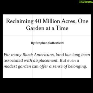 Stephen Satterfield Instagram - Black American identity is a spatial conundrum. We are connected by the fact that we are here, but the location is displacement. 

Start a garden, if you can, and when you do, give away all the food. That right there is a revolution. 

Connect the dots on the two thoughts and you got the thesis of my first ever NYT piece! You read it (in my link) as part of a package on gardens and Blackness. 

Thank you to my @justamcravens for your long-standing commitment to the San Francisco youth. You are remarkable. Thank you Charlie Brinkhurst-Cuff for commissioning.