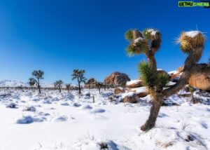 Steve Agee Instagram - Joshua Tree - Dec. 2019