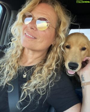Steve Blum Instagram - Happy May the Fourth!! Welcome to our new puppy Chewy!  We’re in love with this good girl.