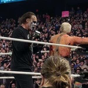Steve Borden Instagram - Best tag-team partner I ever had. Thank you, @darbyallin! #andstill #undefeated #aew 🛹🦂