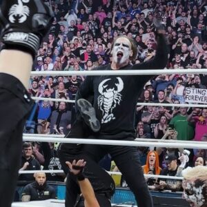 Steve Borden Instagram - #ThankYouSting 🦂 #AEWRevolution