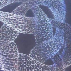 Steve Mould Instagram - Handmade Holograms are weird.
#science #interestingfacts #sciencefacts