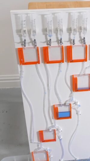 Steve Mould Instagram - First, I showed you how I built a water computer. It's pretty cool, isn't it? But what on earth is it doing?
#science #computer #computerscience #watercomputer