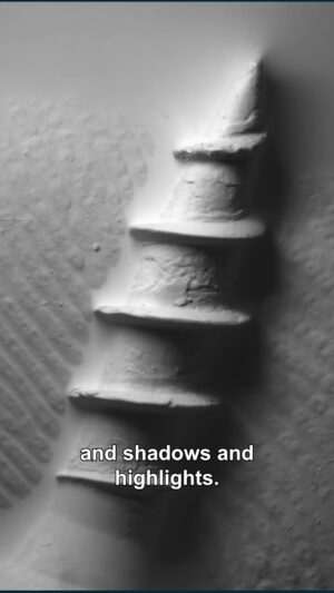 Steve Mould Instagram - This microscope is really weird.
#science #sciencefacts #didyouknow