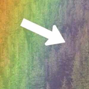Steve Mould Instagram - Why you can't take a good picture of a rainbow
#science #interestingfacts #sciencefacts #rainbow