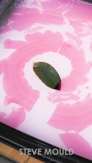 Steve Mould Instagram - Putting ink on the tip of a leaf then putting it on water causes the leaf to whizz around leaving a trail.