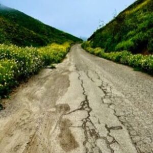 Steve Perry Instagram - Daisy Road